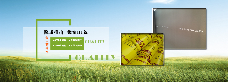 金乐斯 /images/20130126154550_40298.jpg